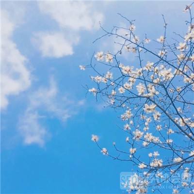 西部利得新动力混合C净值上涨3.21%